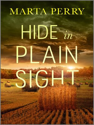 cover image of Hide In Plain Sight